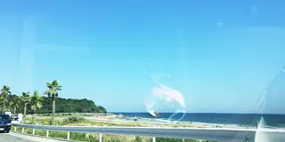 海を満喫