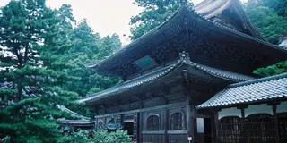 恐竜好き女子のあまりに最高だった石川福井一人旅２日目福井