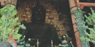 奈良満喫一人旅