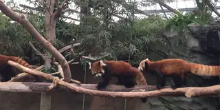 神戸に行ったらここ！