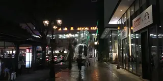 宮城県 山形県 即身仏巡礼 走り書きプラン