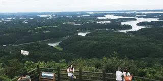 わんこと伊勢志摩  とか