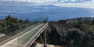 熱海〜伊東🌸踊り子号旅2025行程表有り