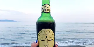 [鎌倉]ゆったり巡る海街旅🐚