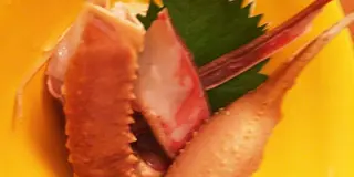 酒と肴