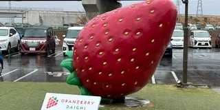 茨城パート8 常総つくばドライブ