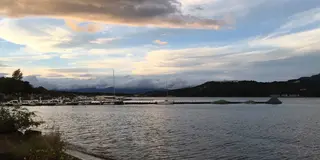 山中湖〜半日プラン