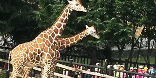 こどもが大満足な動物園