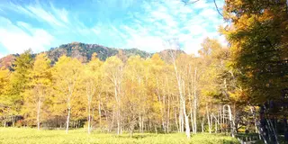 【紅葉満喫🌳🍂】ハイキングで楽しむ日帰り日光ぶらり旅♡