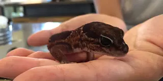 難波散策！