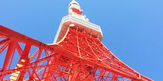 東京タワーがシンボルの港区へおでかけしよう🗼🍴🐬