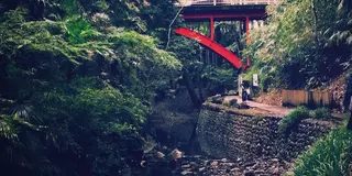 等々力渓谷