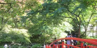 紅葉を求めて掃部ケ岳ハイキング＆伊香保温泉一泊二日