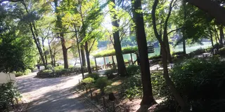 ふたりでまったり過ごしたいなら！吉祥寺の定番デートプラン♡