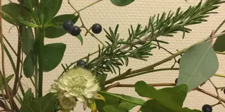 Flower Shop
