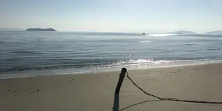 ✨海の散歩コース  蒲郡西部