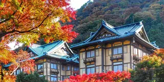 箱根町強羅から宮ノ下へ徒歩で紅葉巡り