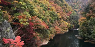 14時発、紅葉と、日帰り湯、山梨の旅。