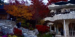 【河口湖】【山中湖】で自然を満喫♡