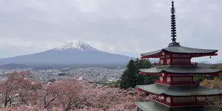 山梨、春の小旅行（河口湖周辺）