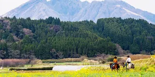 【阿蘇 高森】親子にオススメ☆高森で自然と自然の恵みを体感・体験