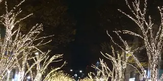非リア女子の肉食クリスマス🎅🍖【表参道】