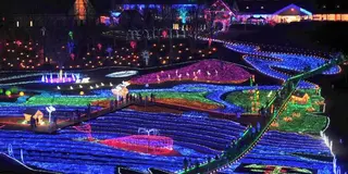 クリスマス 穴場イルミネーションスポット！
