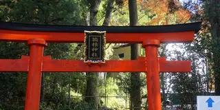 元箱根！で心を癒す