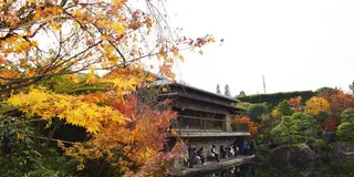 こんなところ知ってた⁉︎一度は行きたい池袋ディープスポット！