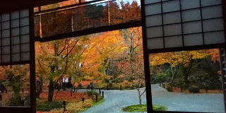 【秋の京都は裏切らない！】そうだ、京都行こう！紅葉編