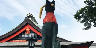 伏見稲荷千本鳥居→東福寺