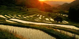贅沢な地元、これが千葉！車で半日充実時間☆