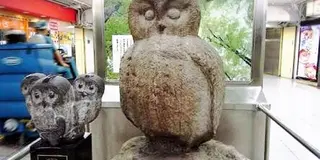 【池袋】デートでも友達でも♡女子の好きなものをのんびり巡る
