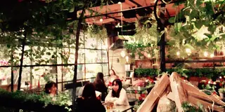 表参道オススメカフェ