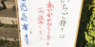 弾丸 千葉 女子旅