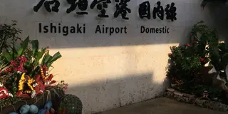 のんびり冬のやいま