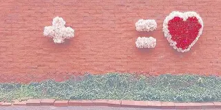 インスタ映えする写真スポット