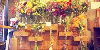 春に行きたい!!素敵なお花屋さん巡り💐