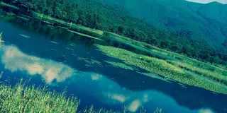 【北海道】大自然に癒される♡道東まるごと満喫プラン