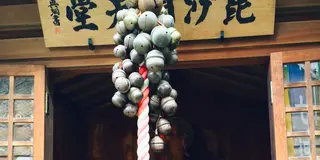 【文京区】御朱印めぐり(徒歩で9ヶ所✌️一日コース)食事はテレビで紹介された絶品パスタ❗️