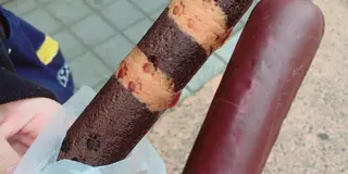 谷根千お気に入りさんぽ
