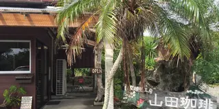 奄美大島満喫プラン♪