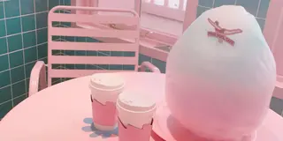 [韓国]韓国人のセンスの詰まったお店がたくさん！😍可愛いお店リスト🎀
