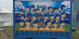 憧れの選手がすぐそこに！安く！快適に！3泊4日で沖縄プロ野球キャンプめぐり〜後編〜