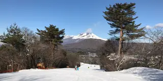 軽井沢でスキーと温泉とショッピングのサクッとリゾート！