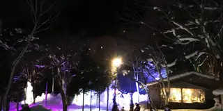 氷点下の森