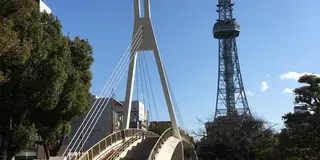 ✨名古屋の散歩コース  久屋大通公園