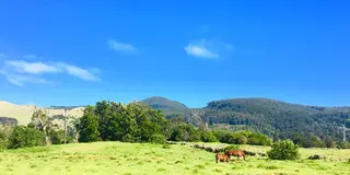 𓇼Big Island で叶える自然満喫スローな旅𓇼