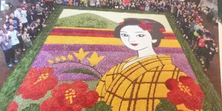 【八丈島で春を先取り】フリージアまつり、八丈富士、温泉＆ダイビングで大満喫