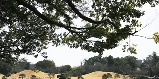 熊本ぶらぶら
